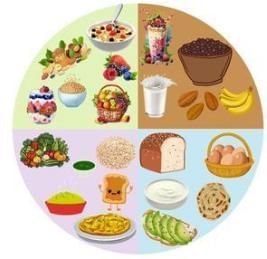 Nutrition | Physical Education for GCSE/IGCSE - Year 11