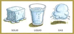 Water—The Essence of Life Chapter Notes | Our Wondrous World  Class 5 - New NCERT
