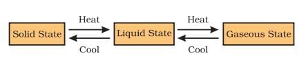 Matter in our surroundings Class 9 Notes Science Chapter 1