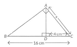 Previous Year Questions: Triangles | Mathematics (Maths) Class 10