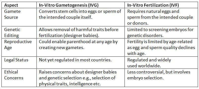 What is In-Vitro Gametogenesis (IVG)?&nbsp;