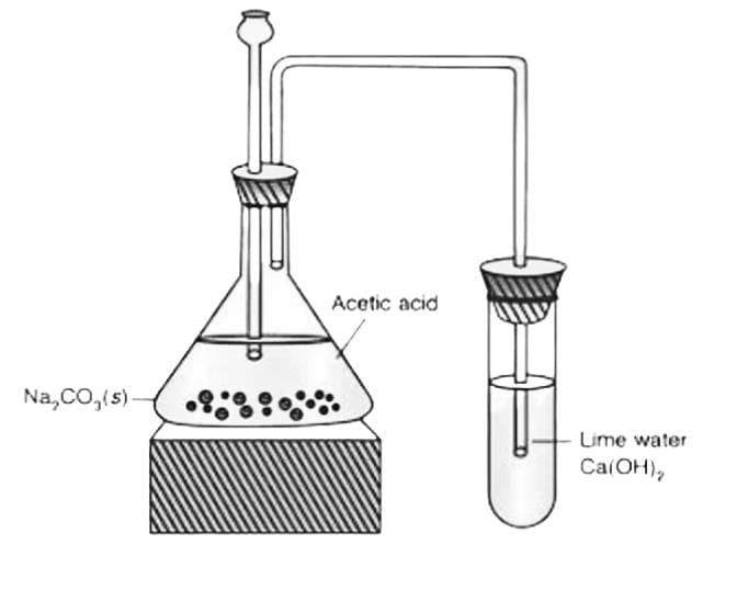 Class 10 Science Chapter 4 Previous Year Questions - Carbon and its compounds