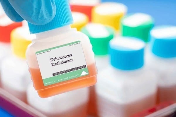 Understanding Deinococcus radiodurans