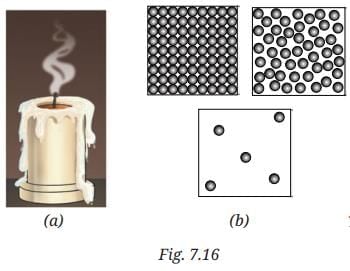 Particulate Nature of Matter NCERT Solutions | Science Curiosity Class 8 -  New NCERT