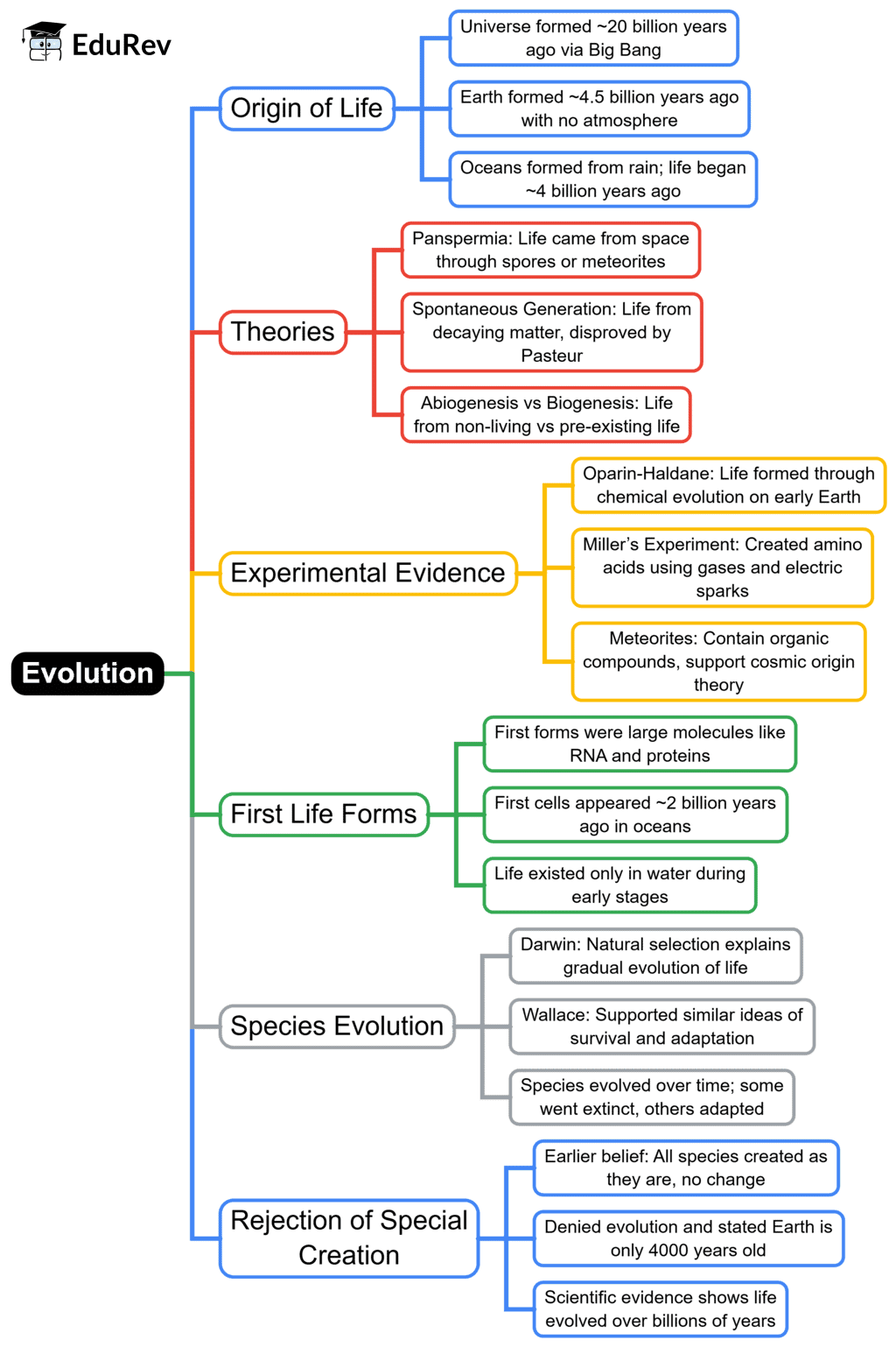Minmap: Evolution | Biology Class 12 - NEET