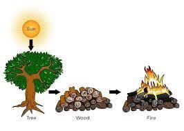 Class 4 Science - Force Energy and Work - CBSE Worksheets - 1