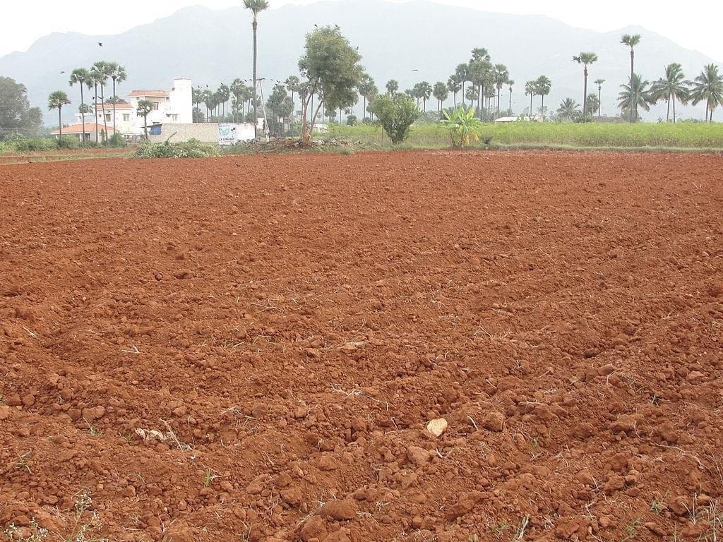 Alluvial Soil