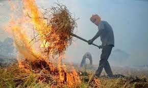 Punjab`s Strategic Push Against Stubble Burning