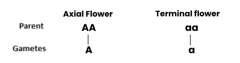 Previous Year Questions 2025