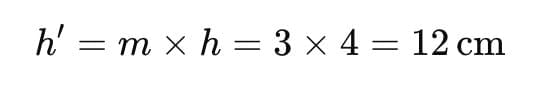 Class 10 Science Chapter 9 Previous Year Questions - Ray Optics - Light : Reflection and Refraction