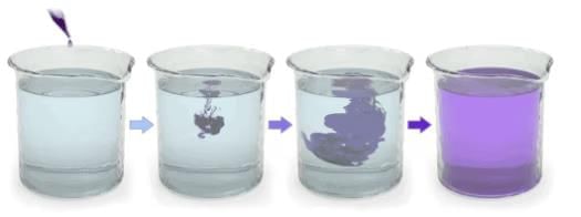 Solved Question and Answer: Particulate Nature of Matter | Science Curiosity Class 8 -  New NCERT