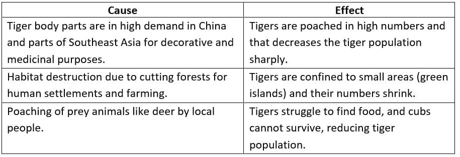 Textbook Solutions: Saving the Tiger | Gul Mohar Class 6: Book Solutions, Summaries & Worksheets