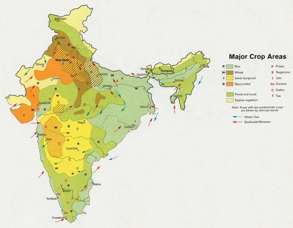 Important Crops | Geography for UPSC CSE