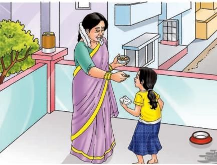 The Mystery of Food Chapter Notes | Our Wondrous World  Class 5 - New NCERT