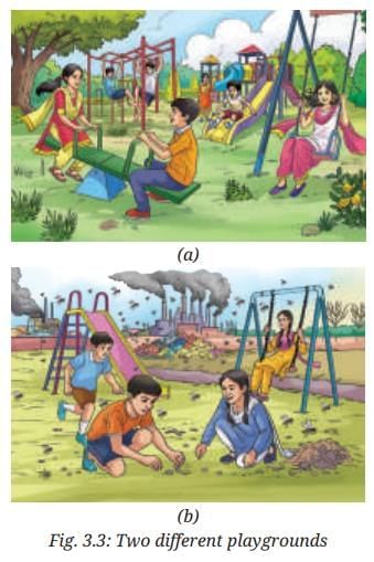 NCERT Based Activity: Health: The Ultimate Treasure | Science Curiosity Class 8 -  New NCERT