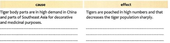 Textbook Solutions: Saving the Tiger | Gul Mohar Class 6: Book Solutions, Summaries & Worksheets