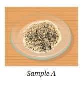 Nature of Matter: Elements, Compounds, and Mixtures Chapter Notes | Science Curiosity Class 8 -  New NCERT