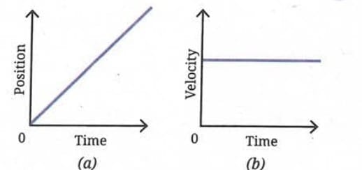 Graphs for Newton`s First Law