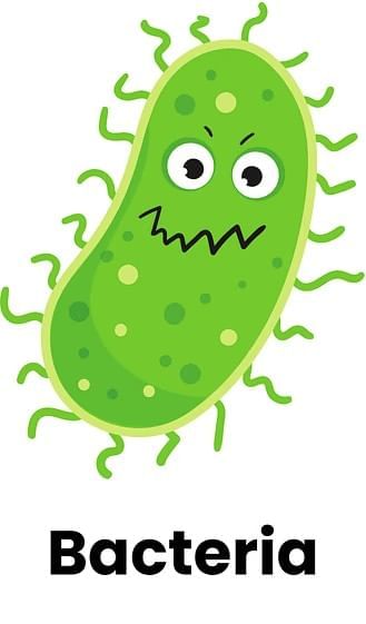 Living World and Classification of Microbes Chapter Notes | General Science Class 8 (Maharashtra Board)