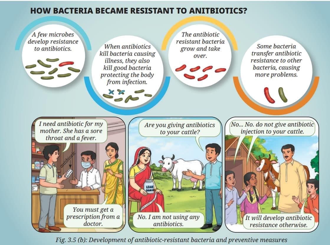 NCERT Based Activity: Health: The Ultimate Treasure | Science Curiosity Class 8 -  New NCERT