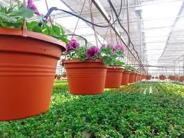 Horticulture of Telangana | Telangana State PSC (TSPSC): Preparation Course - TSPSC (Telangana)