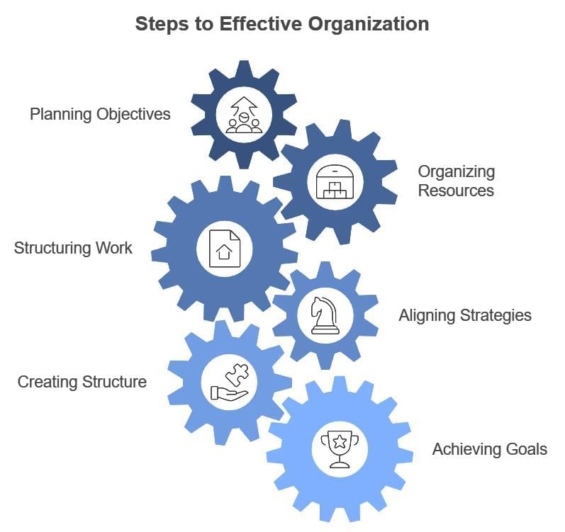 Organising - Introduction to Management | NABARD Grade A & Grade B Preparation - Bank Exams