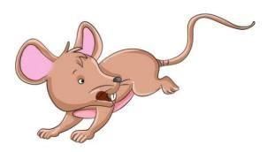 Summary: Mice | English Class 1 ICSE
