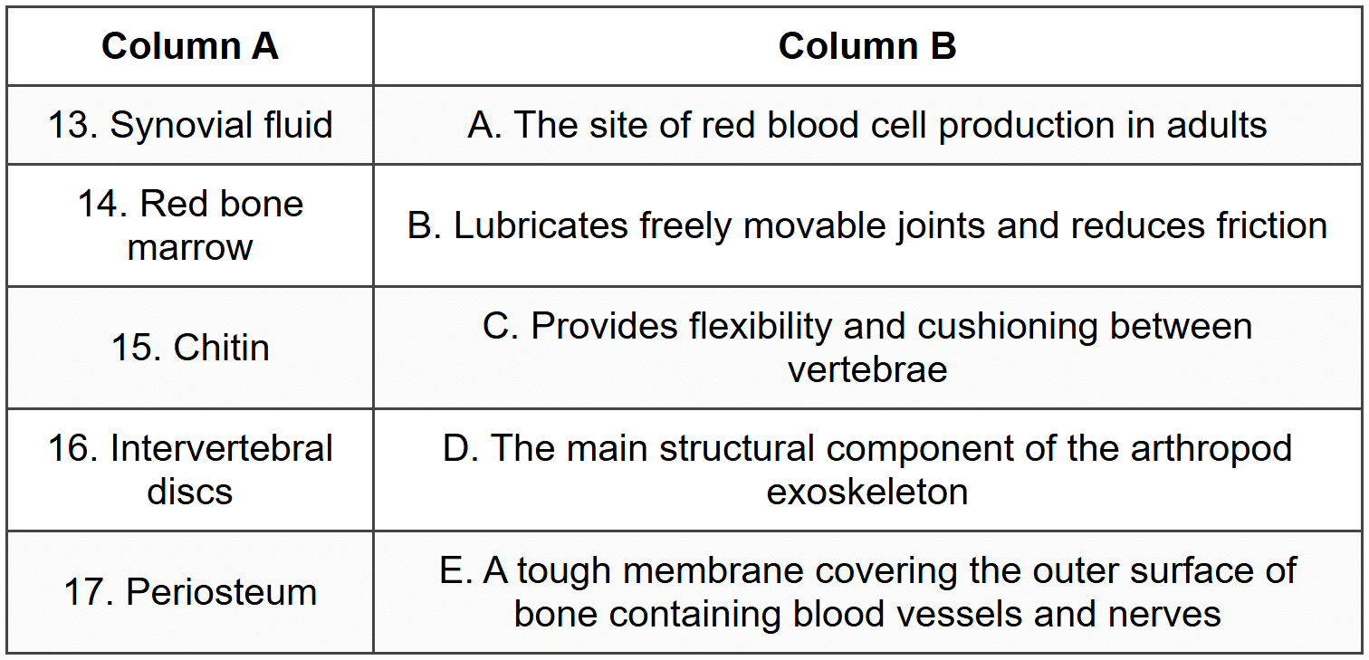 A3: Match Column A to Column B