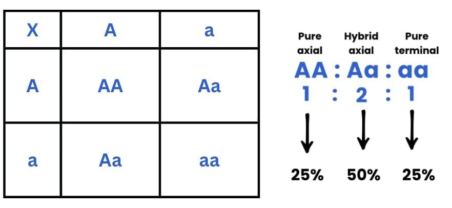 Previous Year Questions 2025