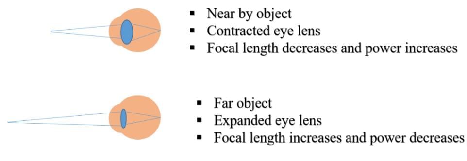 NCERT Solutions for Class 10 Science Chapter 10 - Human Eye and Colourful World