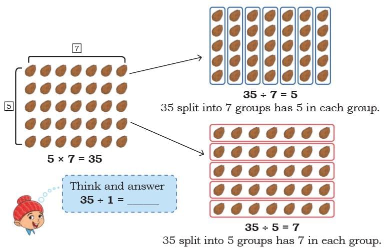 Coconut Farm NCERT Solutions | Mathematics (Maths Mela) Class 5 - New NCERT