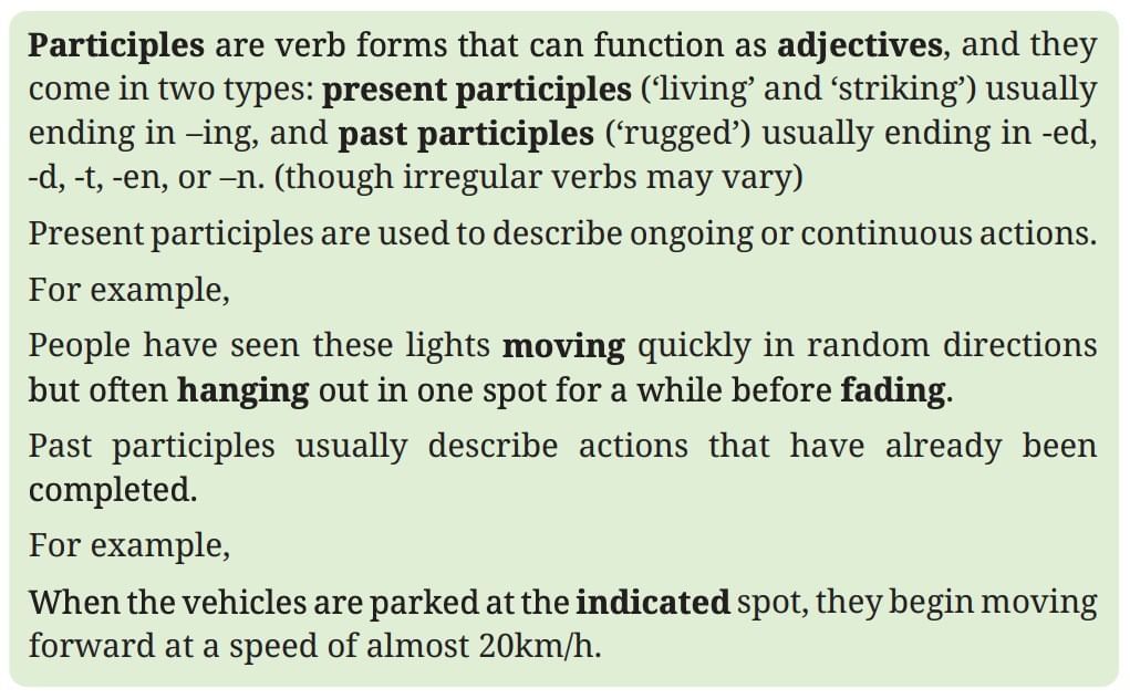 Spectacular Wonders NCERT Solutions | English Poorvi Class 8 - New NCERT