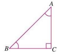 Triangles and Quadrilaterals Chapter Notes | Mathematics Class 6 ICSE
