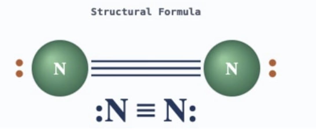 Pause and Ponder (Page 170)