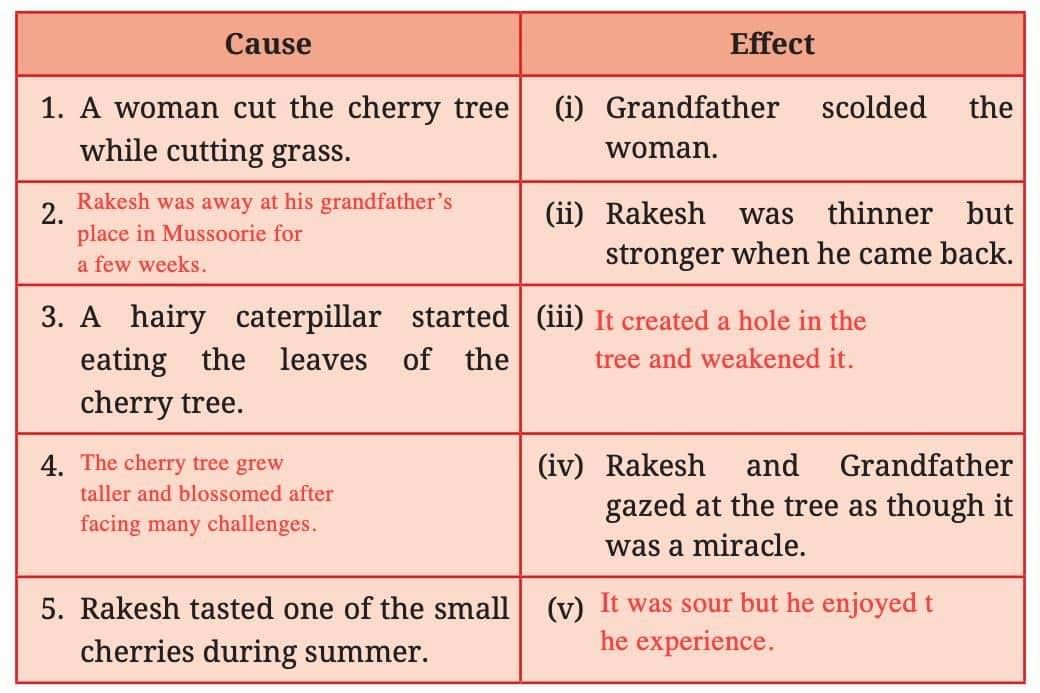 The Cherry Tree NCERT Solutions | English Poorvi Class 8 - New NCERT