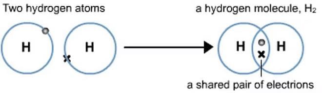 Carbon Compounds Chapter Notes | Earth and Environmental Science for Year 12