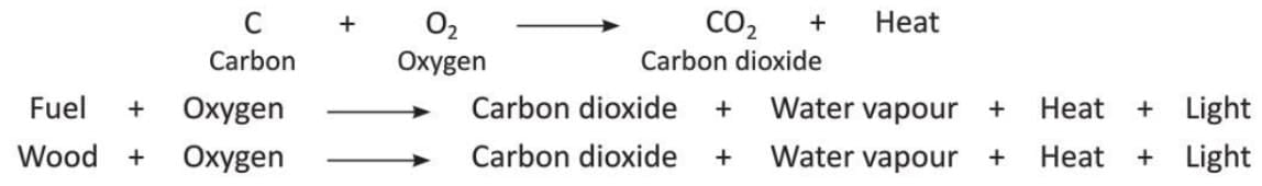 Carbon and Its Compounds Chapter Notes | Chemistry Class 8 ICSE