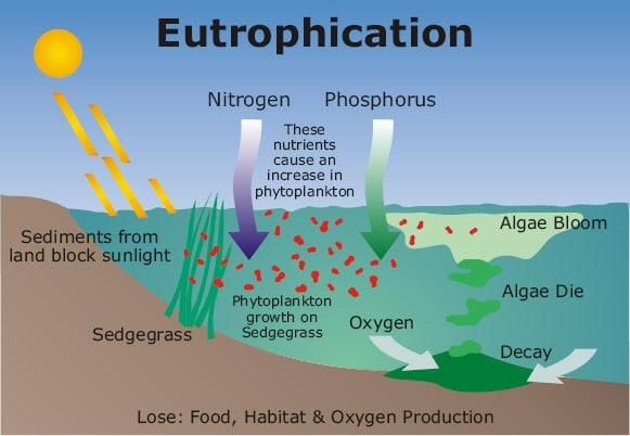 Revision Notes: Waste Management-II | Geography Class 10 ICSE