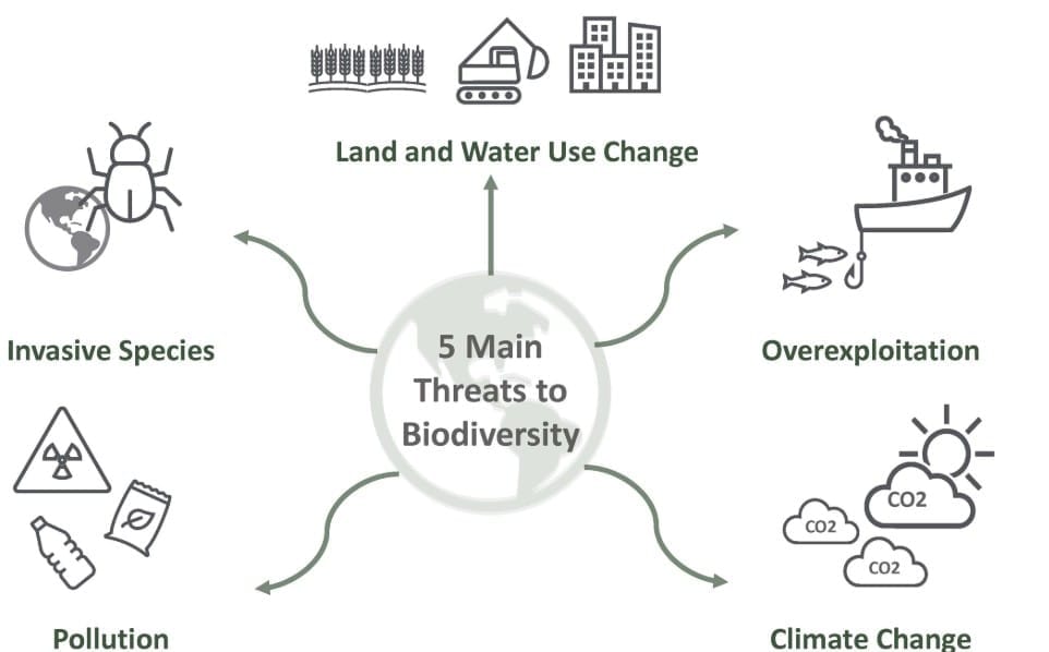3. Threats to Ecosystem