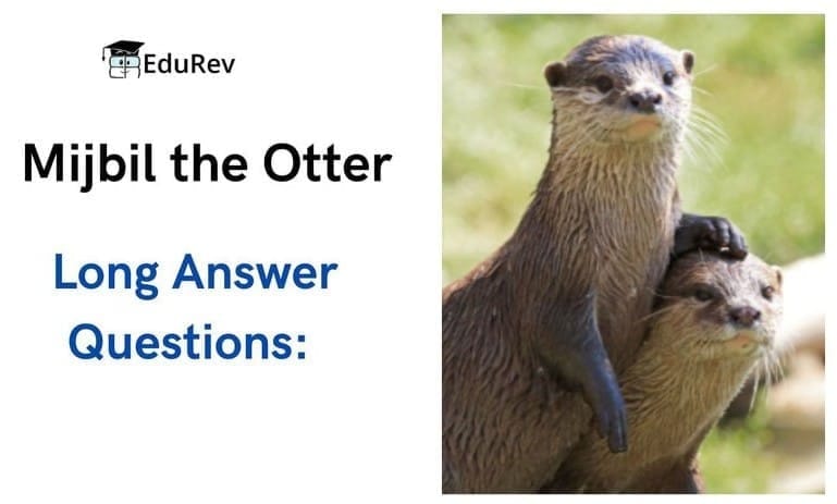 Long Answer Questions: Mijbil the Otter