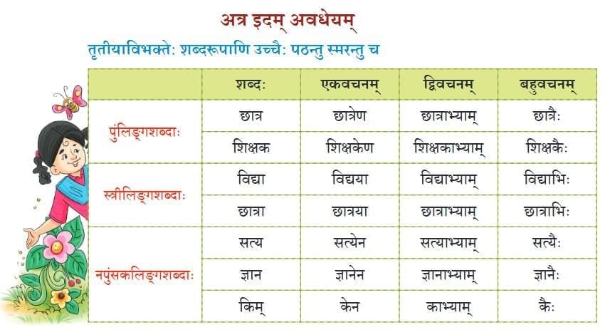पृष्ठम् 25-26: प्रश्नानि