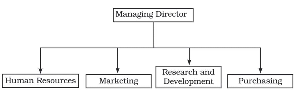 Organising - Introduction to Management | NABARD Grade A & Grade B Preparation - Bank Exams