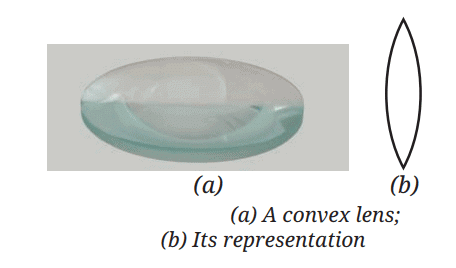 Light: Mirrors and Lenses Chapter Notes | Chapter Notes For Class 8