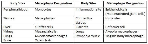 Structure of Immune System and Immune Response Chapter Notes | Microbiology - NEET PG
