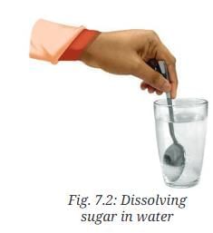 NCERT Based Activity: Particulate Nature of Matter | Science Curiosity Class 8 -  New NCERT