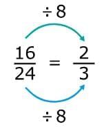 Factors and Multiples Chapter Notes | Mathematics for Grade 6