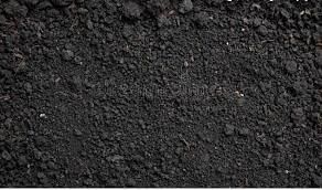 Soils of India - 1 Class 4 Worksheet SST