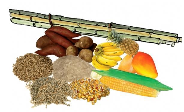 Diagram Based Questions: Mindful Eating: A Path to a Healthy Body | Science for Class 6