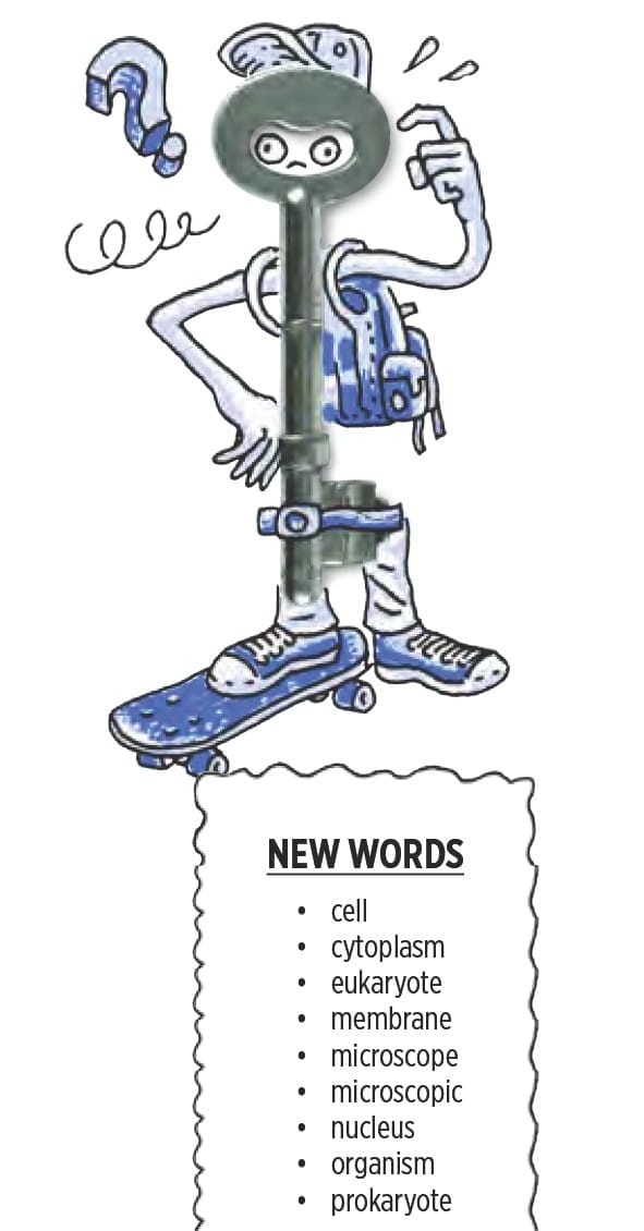 Chapter Notes -Cells : The basic Unit of life