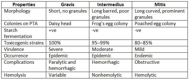 Corynebacterium and Bacillus Chapter Notes | Microbiology - NEET PG